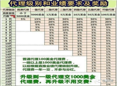 百家利投资最新消息深度解读与分析