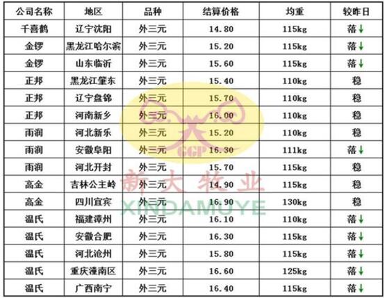 河南生猪价格今日动态解析