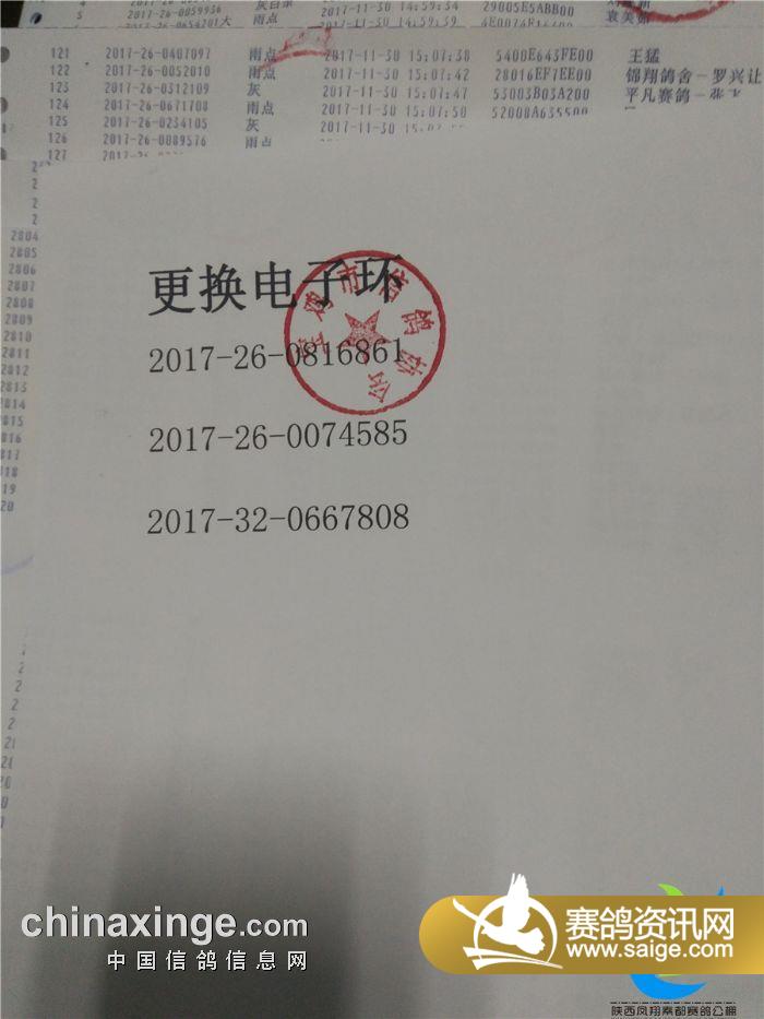 藁城信鸽协会最新公告发布，内容摘要与活动更新