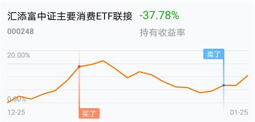 今日最新净值解析，000248基金净值深度解读