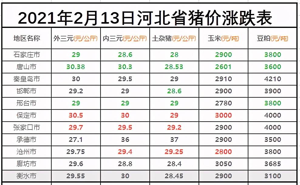 河北省花生米最新价格动态解析