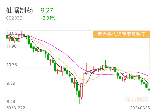 仙琚制药股票最新动态与行业趋势深度解析