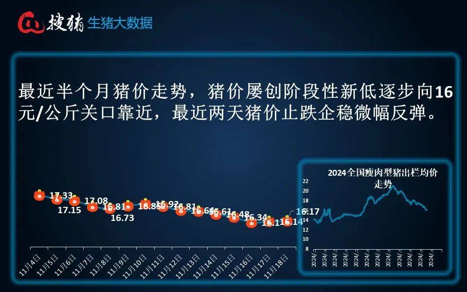 最新生猪价格行情解析