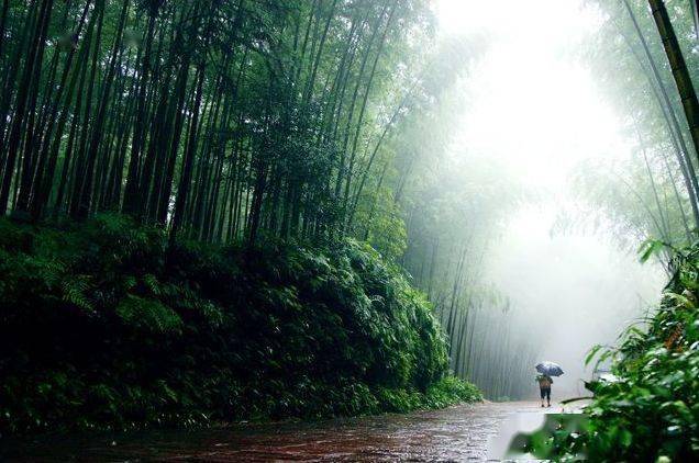 永翠林场天气预报更新通知