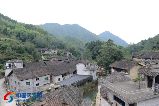 箬坑乡新项目，引领乡村发展的强大动力源泉