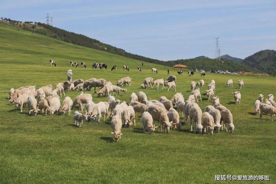 孟根达坝牧场最新交通动态