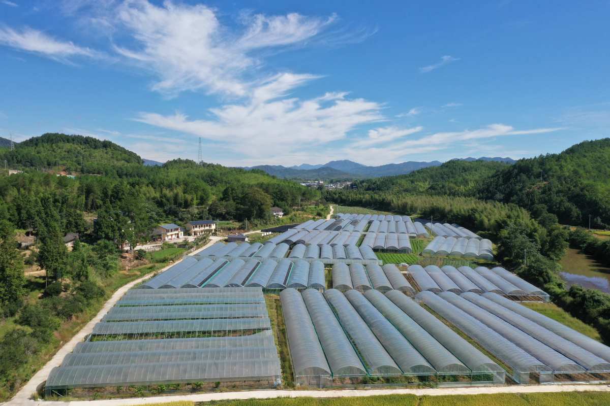 水茜乡新时代繁荣与进步发展规划蓝图发布