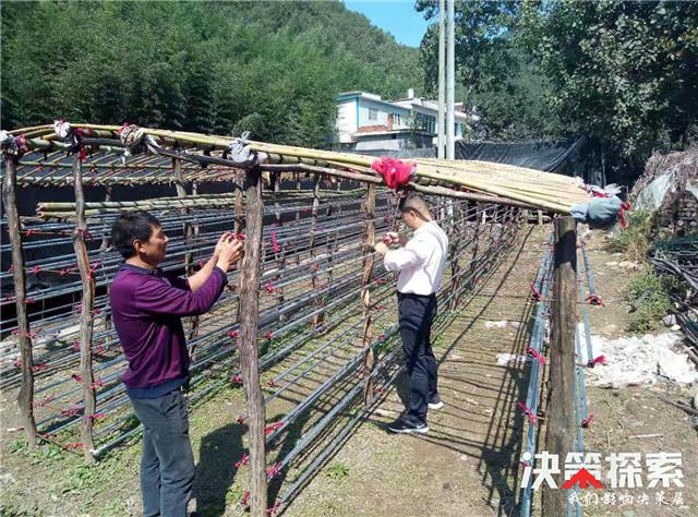 奶桑村新项目，乡村振兴的新动力