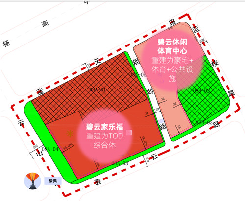 碧云经营所未来发展规划概览