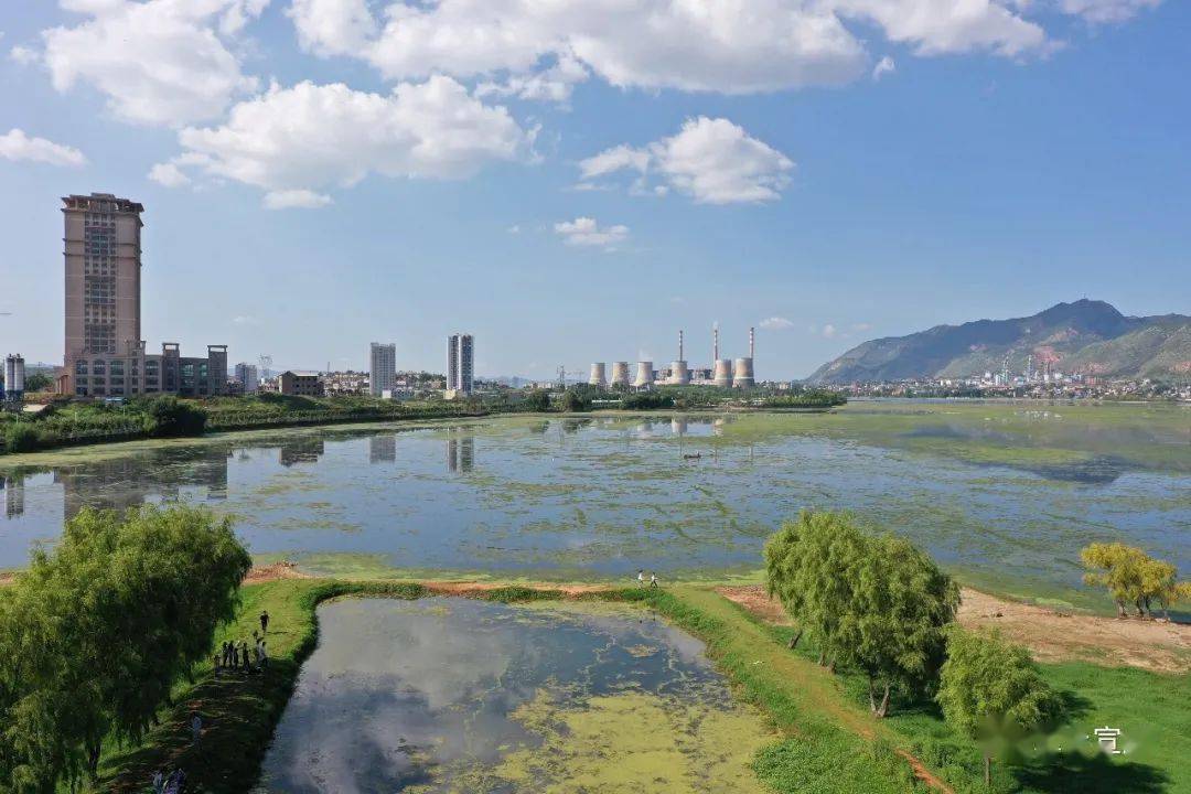 进乡街道天气预报更新通知