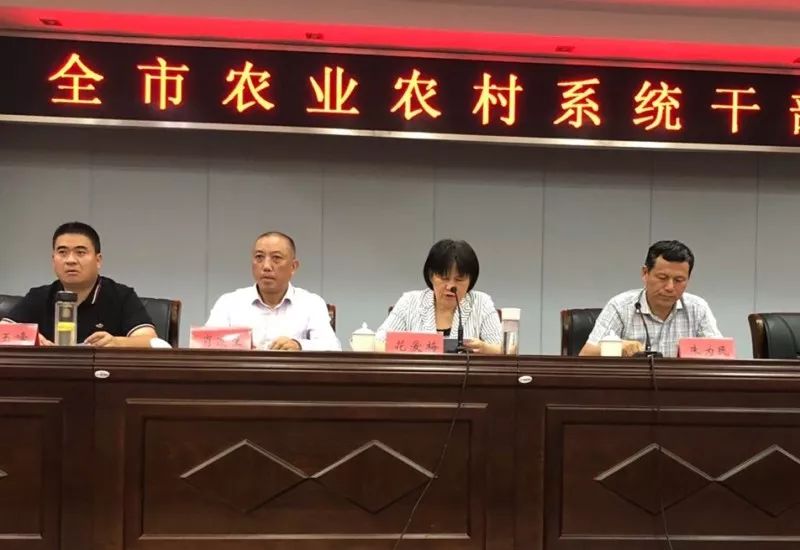 新乐市农业农村局人事任命揭晓，引领农业迈向新篇章