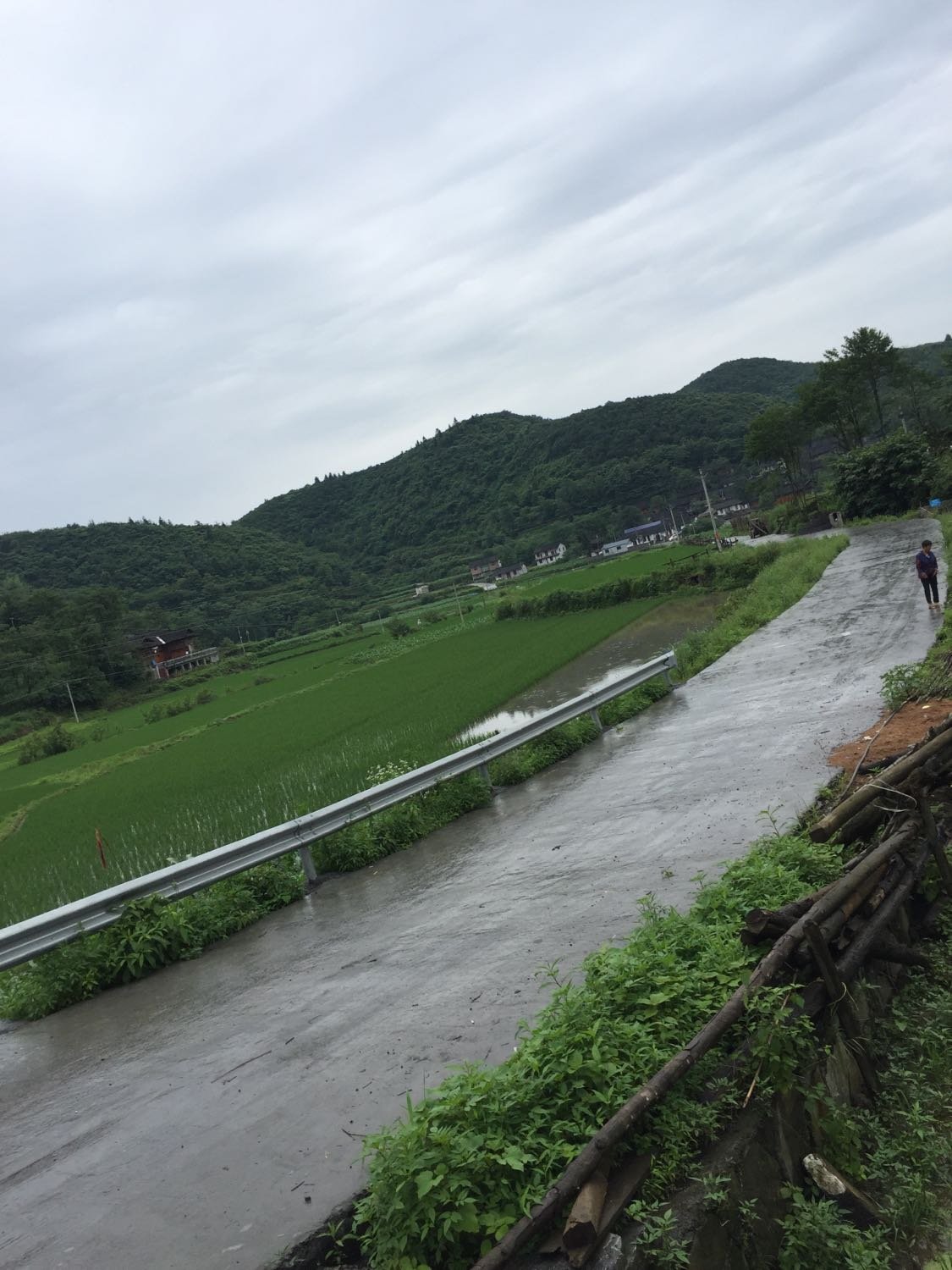 乔湾村民委员会天气预报更新通知