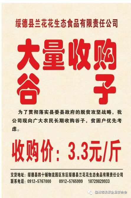 米脂县文化局最新招聘信息全面解读与招聘细节深度剖析