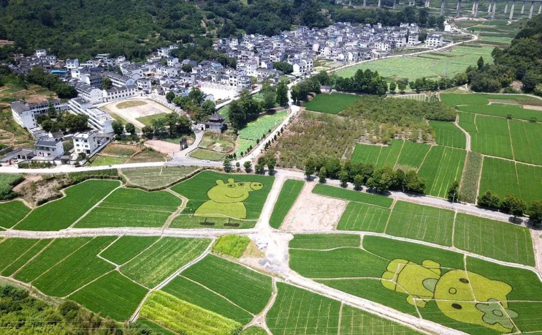 月田镇最新项目，乡村振兴典范引领之路