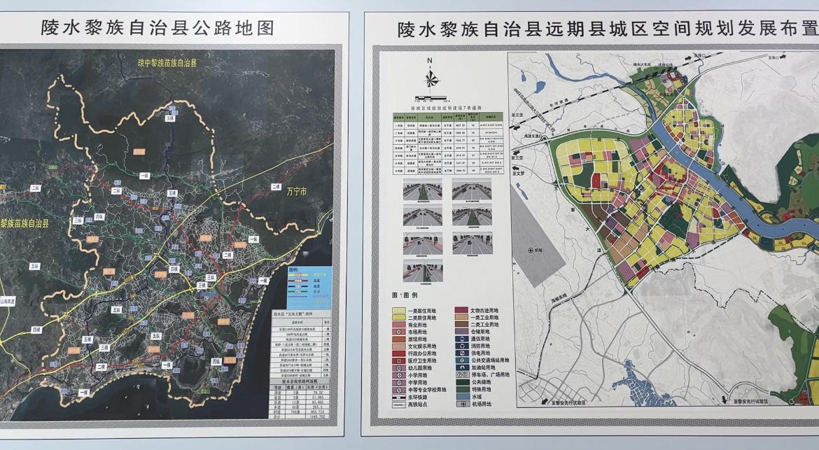 林通村发展规划概览