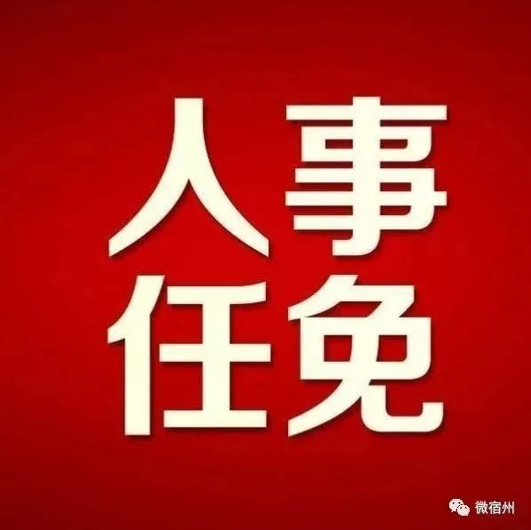 埇桥区康复事业单位人事任命推动康复事业迈向新阶段