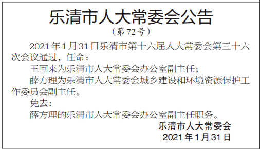 乐清市审计局人事任命动态深度解析