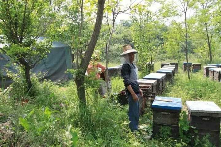 花滩林场最新招聘信息及其区域影响力分析