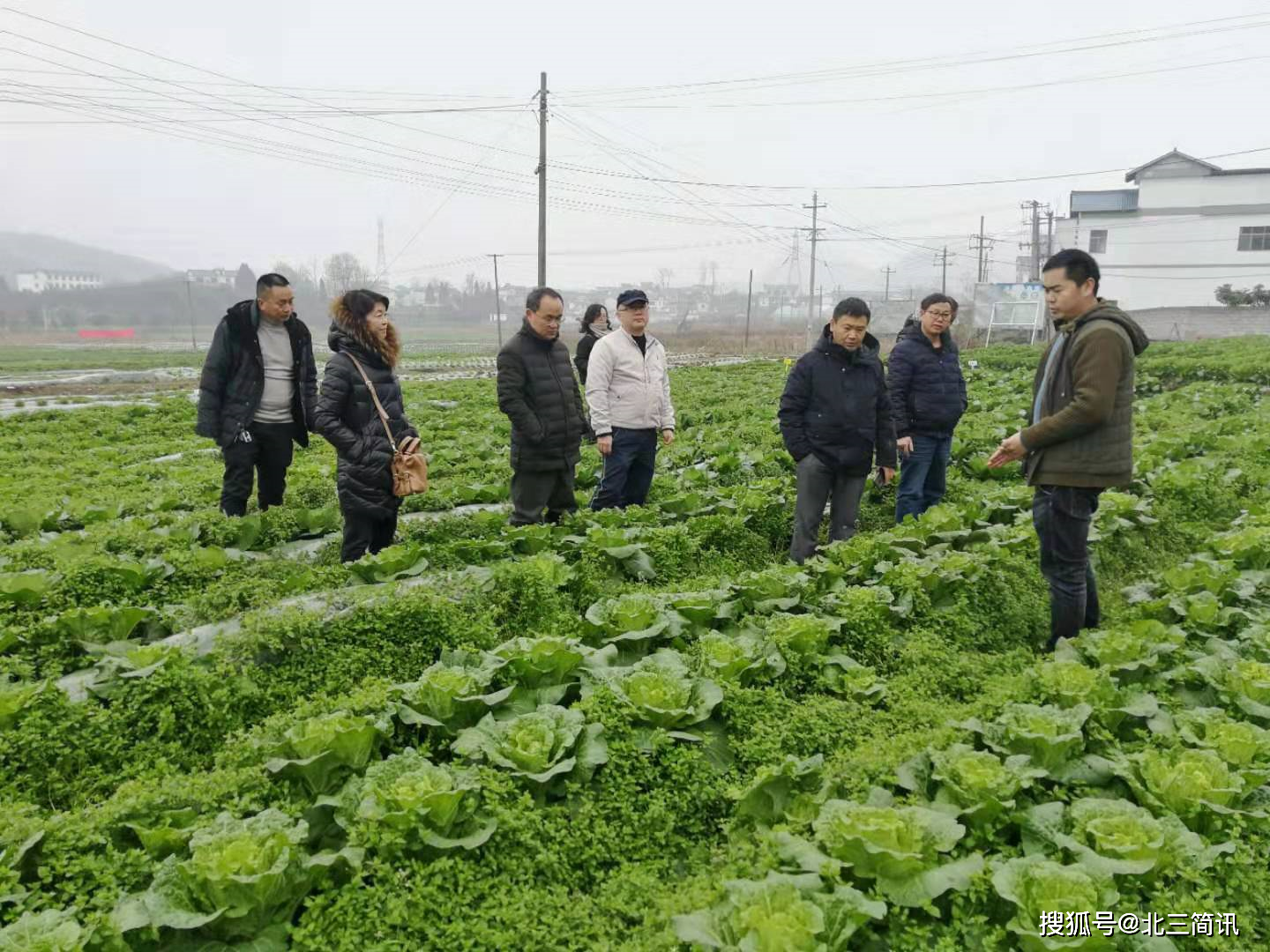 乌当区农业农村局最新新闻