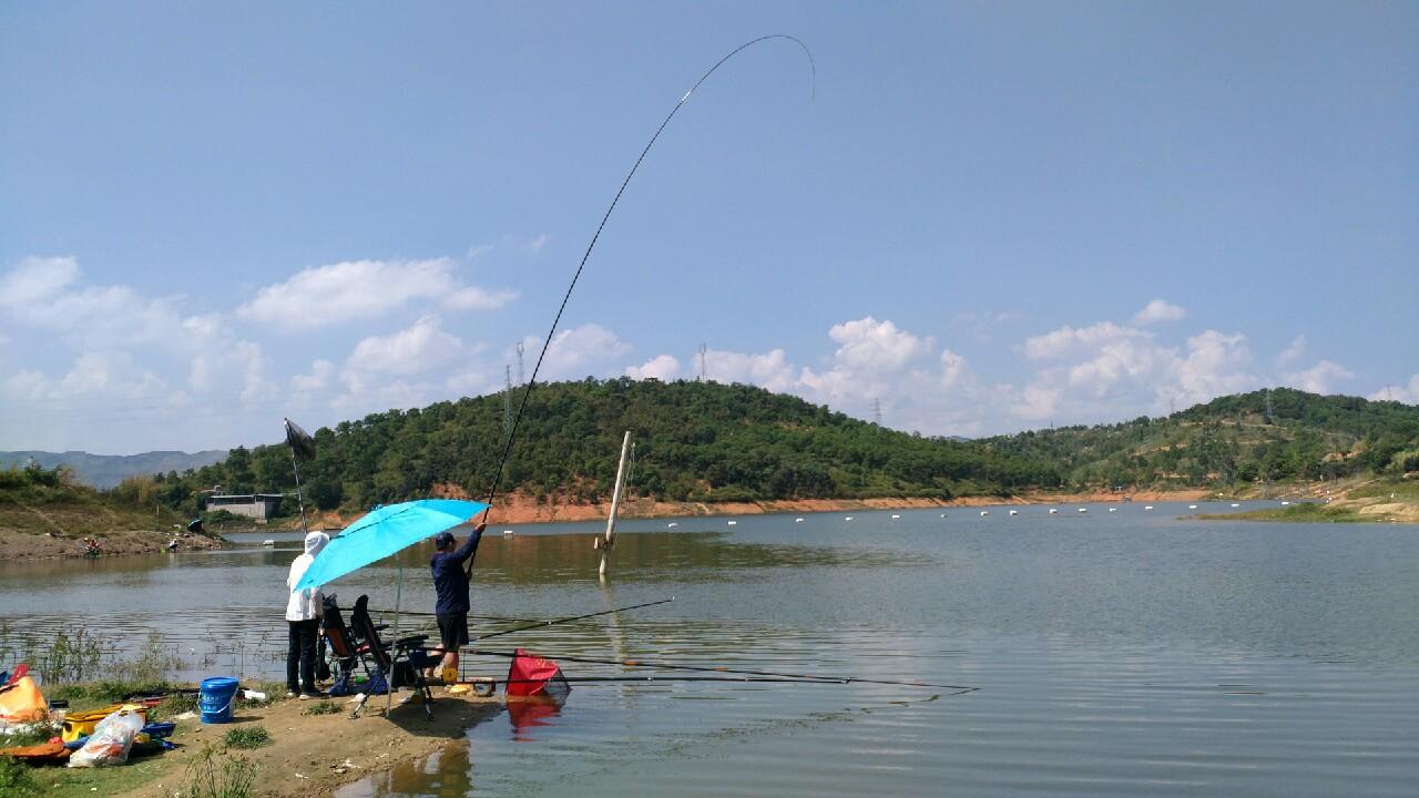 弥勒县市场监督管理局新项目推动市场监管现代化，助力地方经济高质量发展新篇章