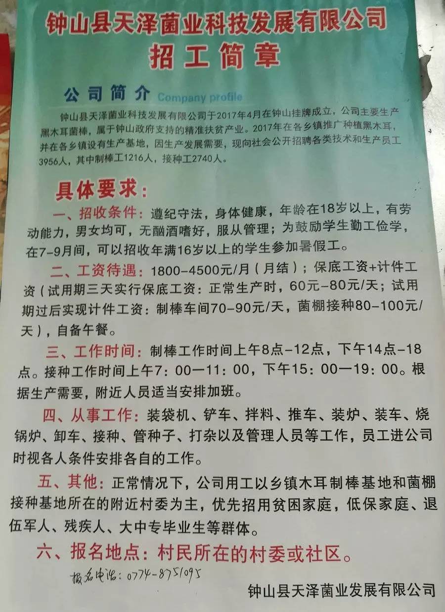 达热加欧村招聘信息与就业机遇深度探讨