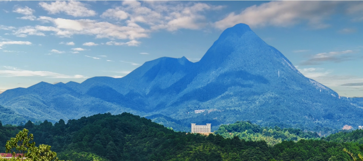 衡阳县岣嵝峰林场最新资讯动态