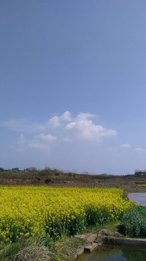 银塘镇天气预报更新通知