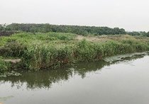 查巴村今日天气预报通知