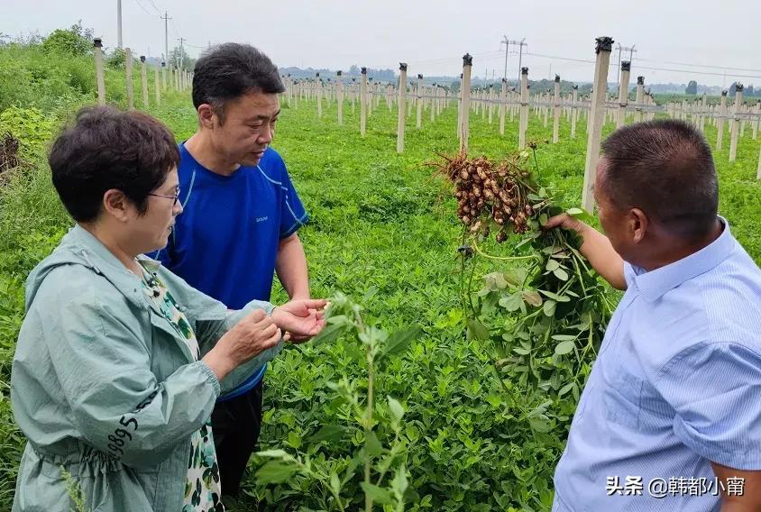 孟津县交通运输局最新项目概览