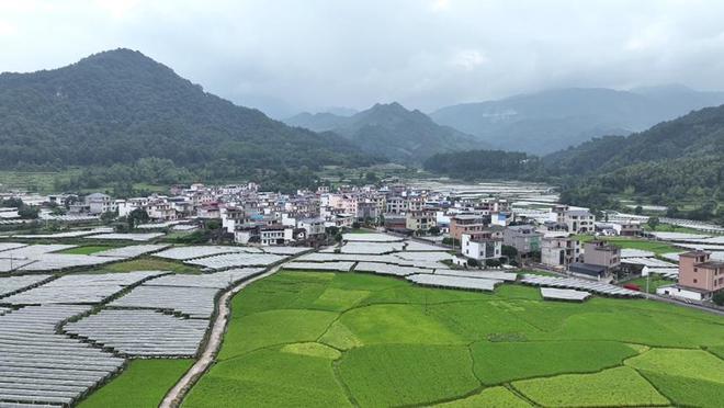 李大庄乡新项目，乡村发展的强大引擎驱动力