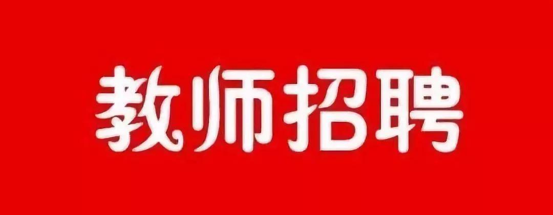 凤县财政局最新招聘信息详解