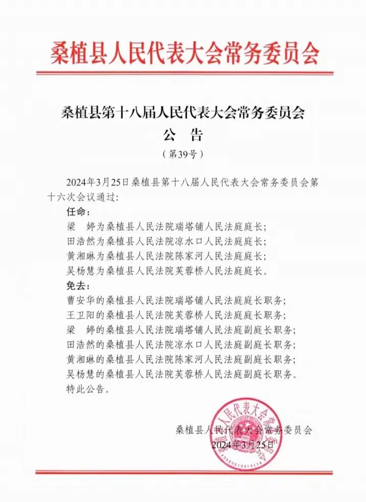 桑植县初中最新人事任命，塑造教育新篇章