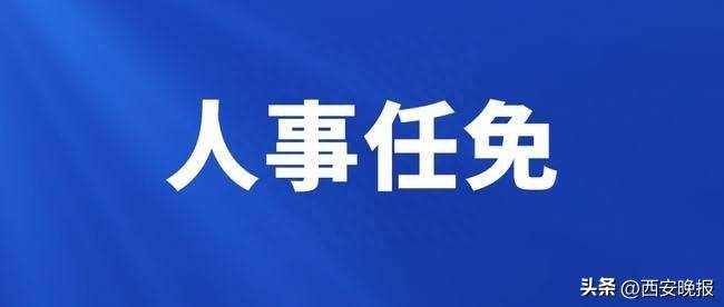 控角公司人事任命动态更新