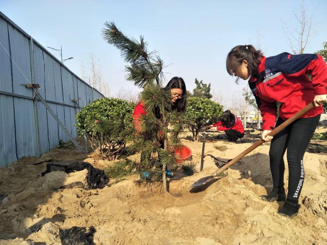 开封市劳动和社会保障局深化改革，助力城市繁荣发展新动态