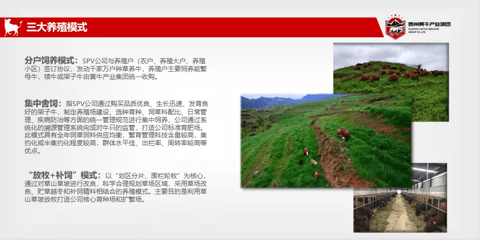 穷嘎村最新招聘信息及其社区发展影响分析